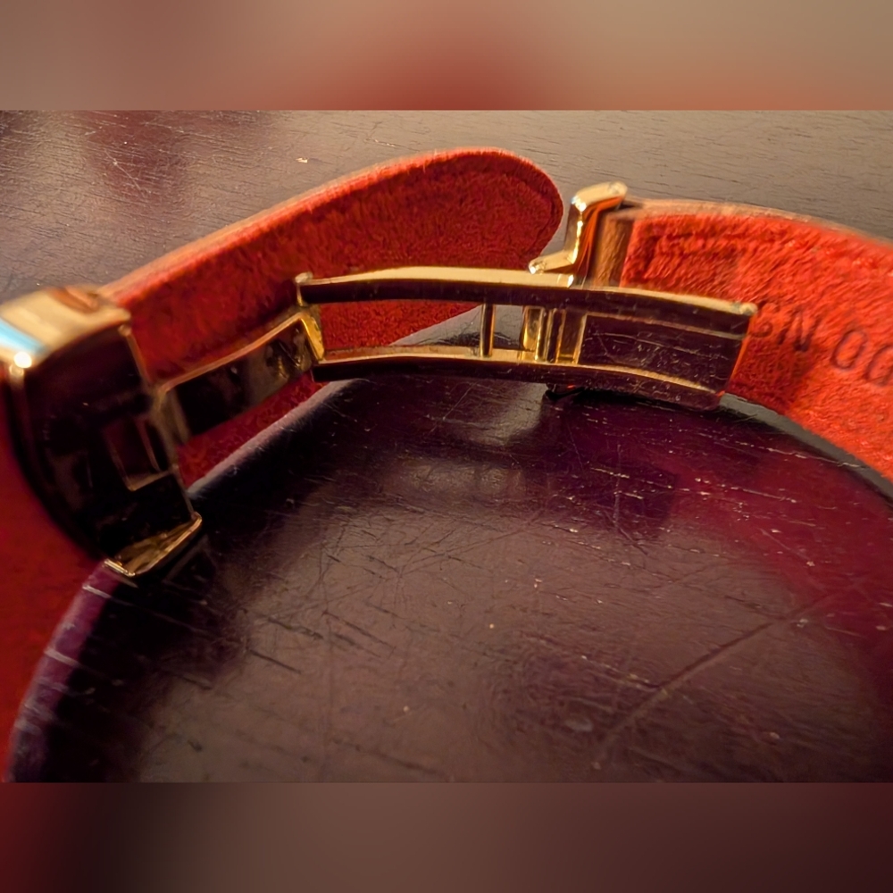 Gorgeous Louis Vuitton Paris Leather LV Good Luck Series - Picture 5 of 13